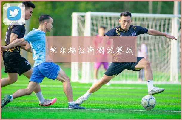 帕尔梅拉斯淘汰赛战