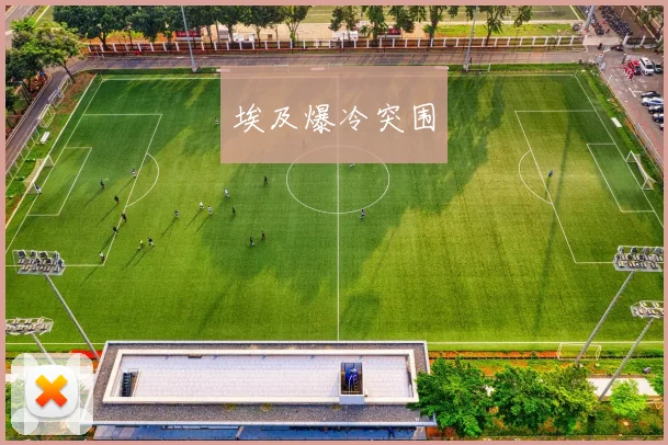 埃及爆冷突围