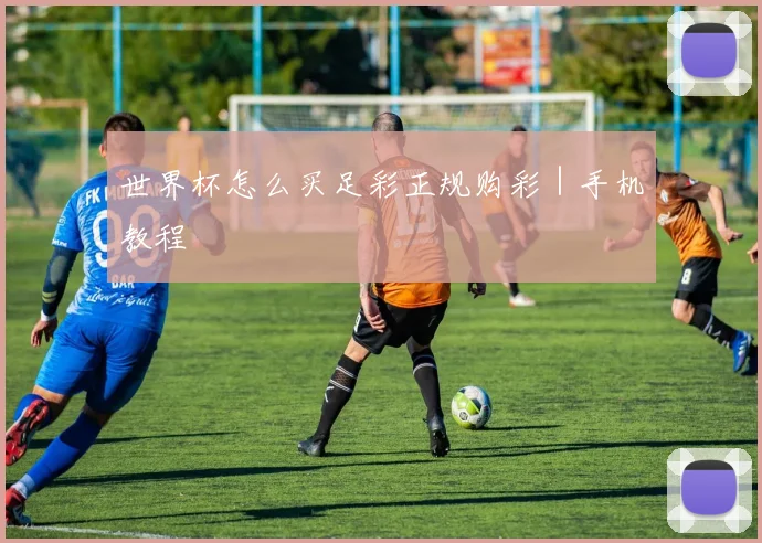 世界杯怎么买足彩正规购彩｜手机教程